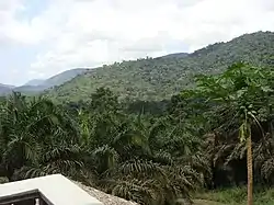 Parque nacional de Monte Alén