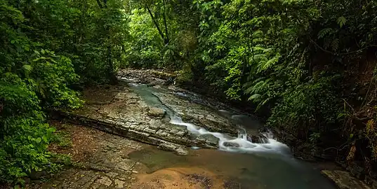 Parque nacional La CangrejaProtege abundantes y cristalinas fuentes de aguas, 44 especies de plantas endémicas y 300 especies de aves.