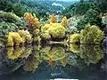 Pantano de Chiquillo, en Navacerrada