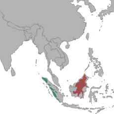 Distribución de la pantera nebulosa de Borneo (N. d. borneensis) en rojo y pantera nebulosa de Sumatra (N. d. diardi) en verde.