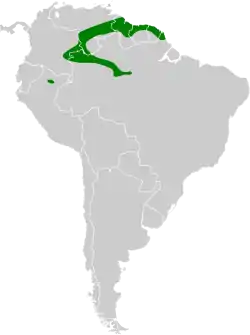 Distribución geográfica del saltarín coronigualdo.