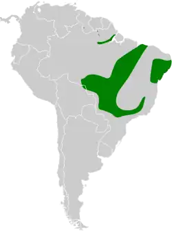 Distribución geográfica del saltarín ventriblanco.