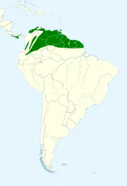 Distribución geográfica del piojito simple.