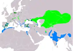 Distribución de Netta rufina