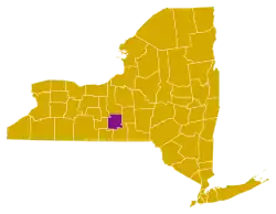 Primarias del Partido Demócrata de 2008 en Nueva York
