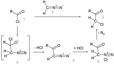 The Nierenstein reaction mechanism