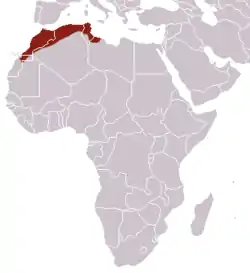 Distribución del asarfif