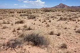 Peloncillo Mountains