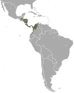 Distribución de Cabassous centralis