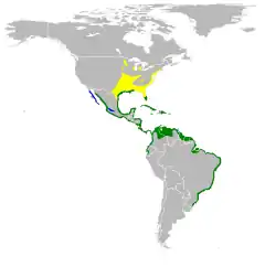      Nidificación      Invernada      Todo el año