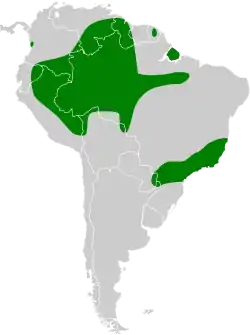 Distribución geográfica del nictibio colilargo.