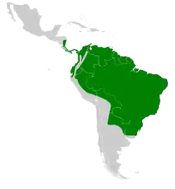 Distribución geográfica del nictibio urutaú.