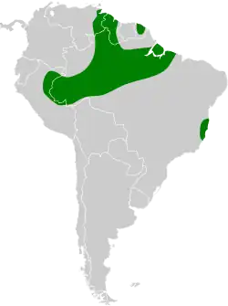 Distribución geográfica del nictibio aliblanco.