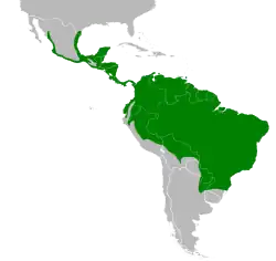 Distribución geográfica del chotacabras pauraque.