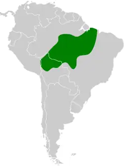 Distribución geográfica del buco estriado.