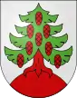 Obersteckholz