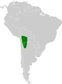 Distribución geográfica de la bandurrita roquera.