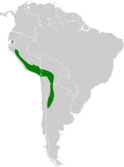 Distribución geográfica del pitajo gris.