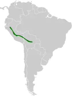 Distribución geográfica del pitajo cejidorado.