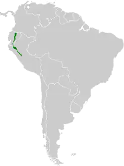 Distribución geográfica del colibrí de raquetas peruano.