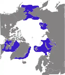 Distribución de la morsa