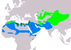 Distribución de Oenanthe deserti