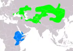 Distribución de Oenanthe pleschanka