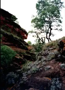 Cañón del Ojo del Lagarto.