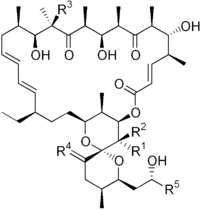 Imagen de la estructura