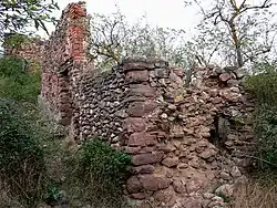 Ollora
