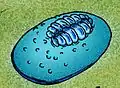 Onega