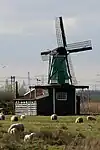 Molino De Windjager