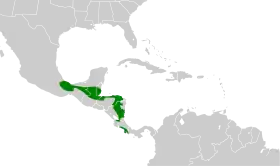 Distribución geográfica del mosquerito ventriamarillo.