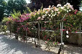 Una de las pérgolas del jardín de rosas.