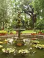 Fuente en el Orto Botanico di Firenze.