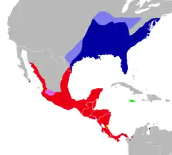 Distribución de Oryzomys antillarum (verde) y otras especies de Oryzomys, incluyendo O. couesi (rojo) y la rata de arroz de pantano ( O. palustris, azul)