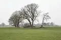 Linderbeek