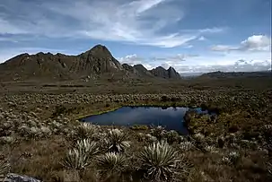 Páramo de Sumapaz