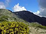 Sierra de Guadarrama