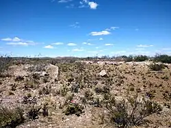 Playa de maniobras hoy invadida por la vegetación.