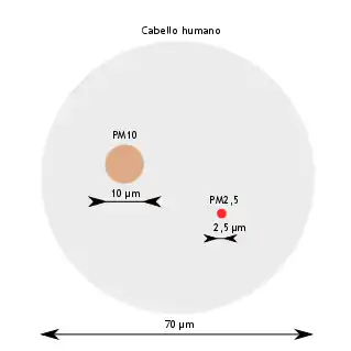 Comparación del tamaño de PM10 y PM2.5 con un cabello humano