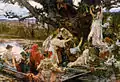 Bajo el árbol consagrado a Ceres (colección particular, 1903)