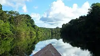 Amazonia de Perú