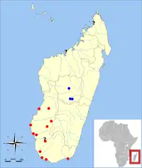 Sitios de subfósiles del Pachylemur. En rojo para P. insignis, azul para P. jullyi, y en negro los no especificados.Godfrey, Jungers & Burney 2010, p. 354.