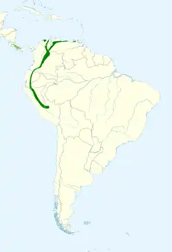 Distribución geográfica del anambé blanquinegro.