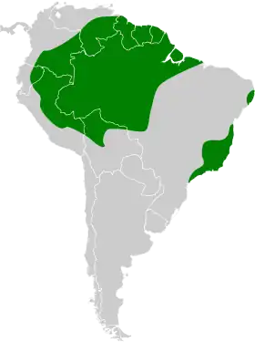 Distribución geográfica del anambé capirotado.