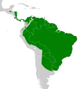 Distribución geográfica del anambé aliblanco.