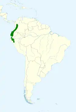 Distribución geográfica del anambé críptico.