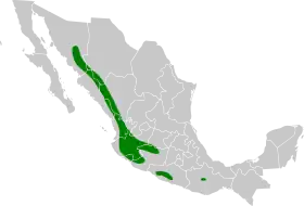 Distribución geográfica del anambé mexicano occidental.