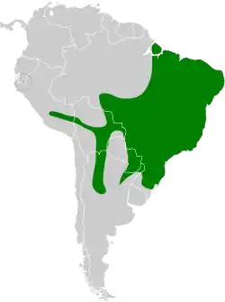 Distribución geográfica del anambé grande.